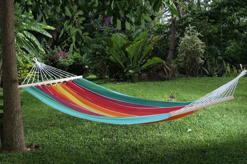 Canvas Hammock