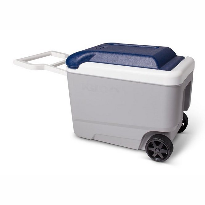 Maxcold 40 Roller Grey Cooler
