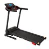 Motorized Treadmill Stingray