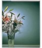 Erias Frameless Beveled Edge Wall Mirror