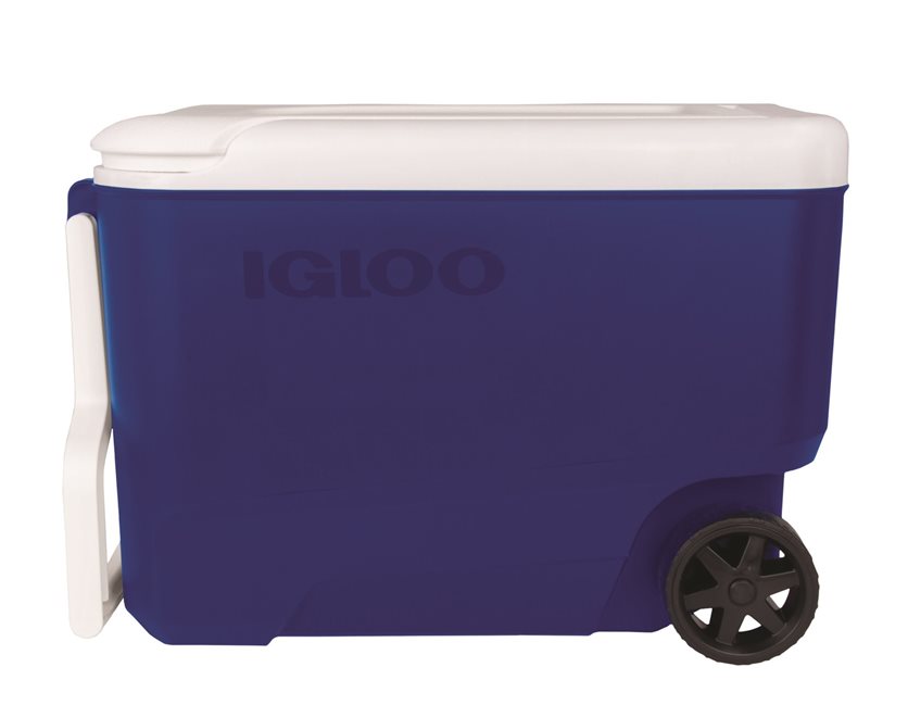 Wheelie Cool Blue